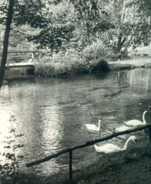 Mittelschule Freiburg (Elbe) Klassenfahrt Harz Rhumequelle